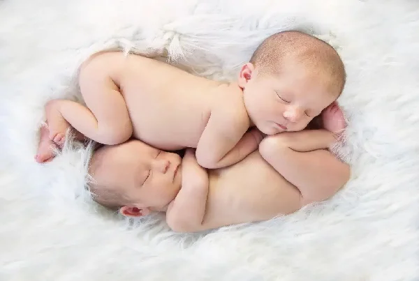 Twin Pregnancy